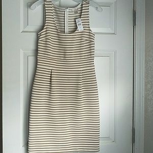 NWT Loft Dress